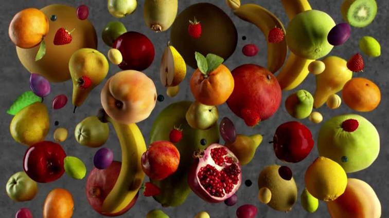 health coach program